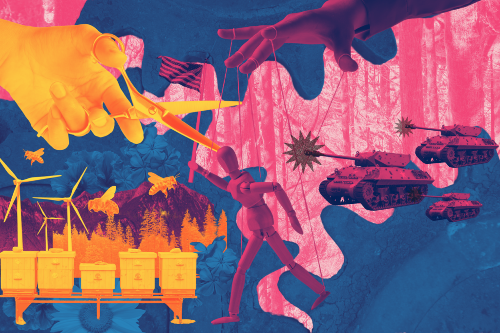 Toward a New Internationalism
